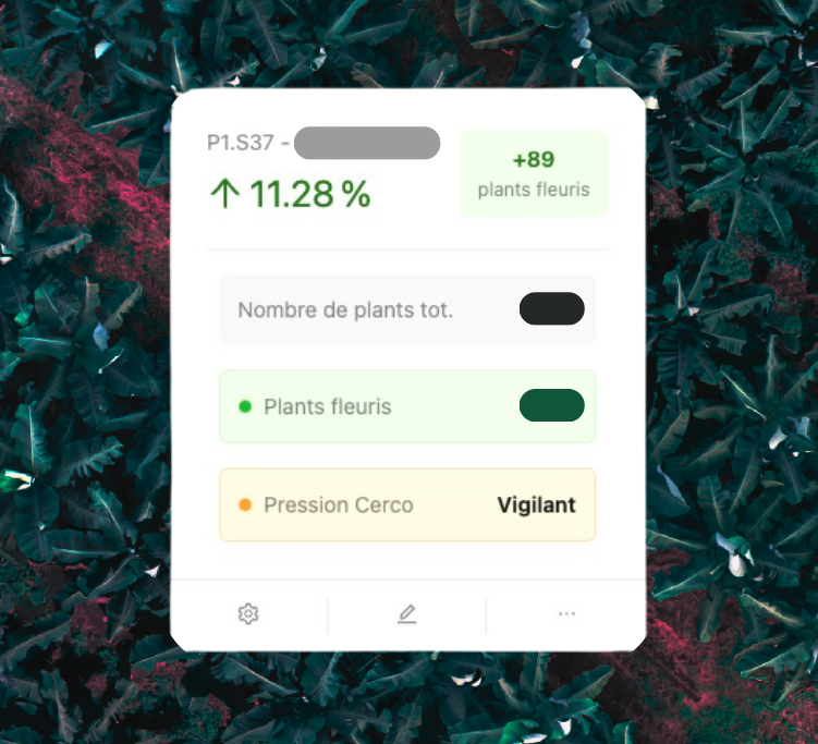 Un suivi hebdomadaire